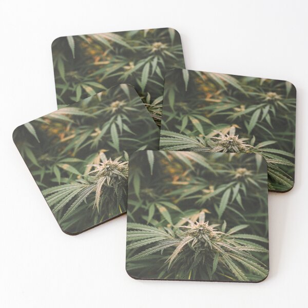Artikelvorschau, Cannabis I. entworfen und verkauft von laurarose.