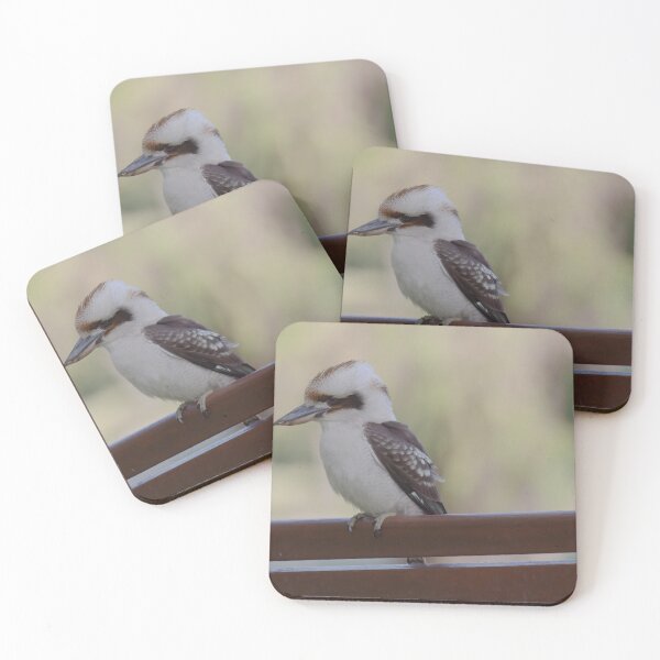 Item preview, Kookaburra sitting on a wooden bench in the late evening designed and sold by hendrikspix.