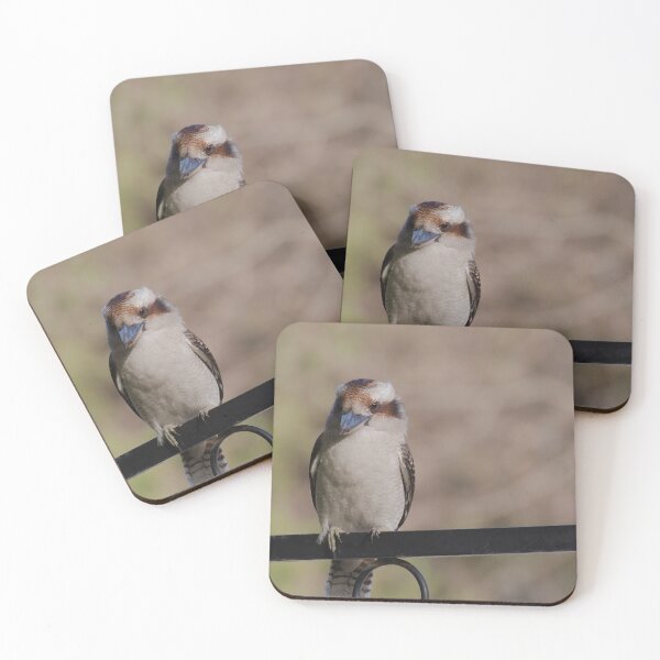 Item preview, Kookaburra sitting on a fence photo in the late evening designed and sold by hendrikspix.