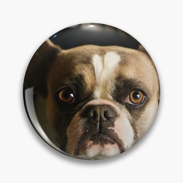 Item preview, French bulldog designed and sold by laura-S.
