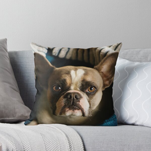 Item preview, French bulldog designed and sold by laura-S.