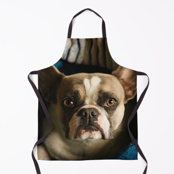 Item preview, French bulldog designed and sold by laura-S.
