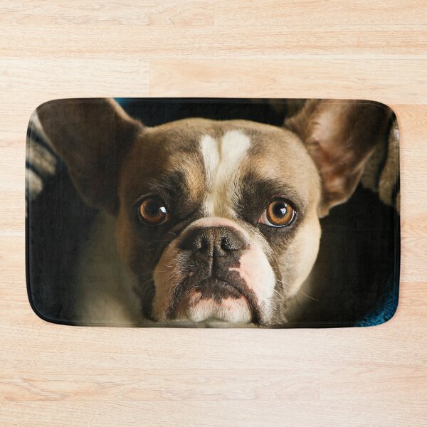 Item preview, French bulldog designed and sold by laura-S.