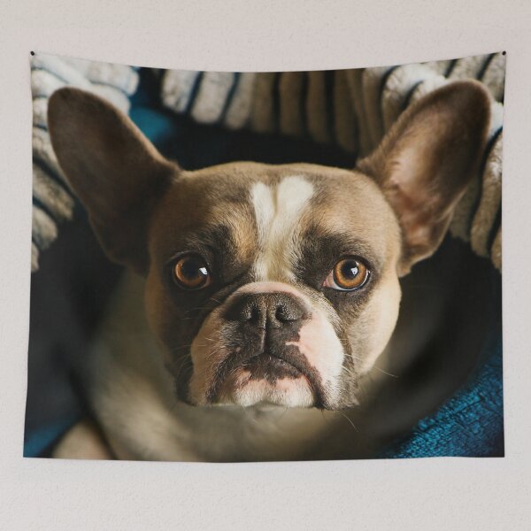 Item preview, French bulldog designed and sold by laura-S.