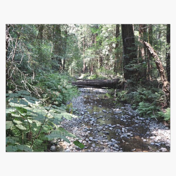 A Peaceful Creek in Muir Woods Jigsaw Puzzle