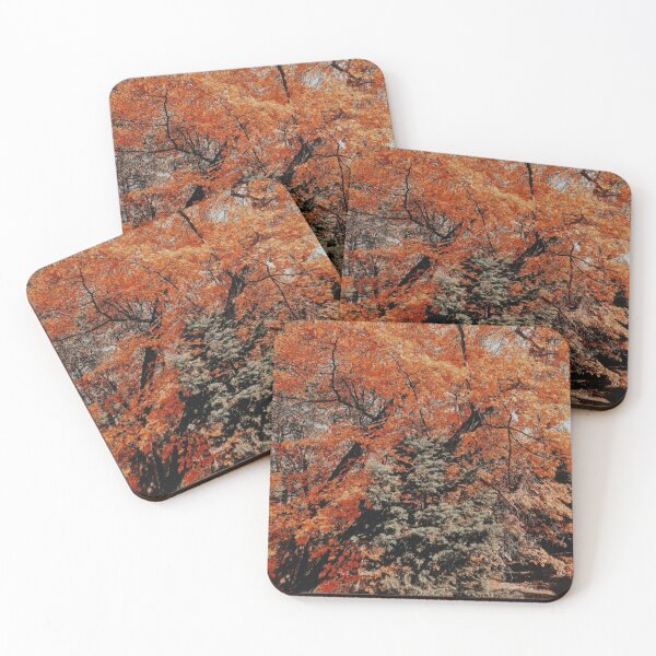 Item preview, Big Bear, CA  designed and sold by Emilia Oxelheim.