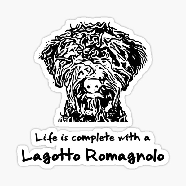 Lagotto Romagnolo Sticker