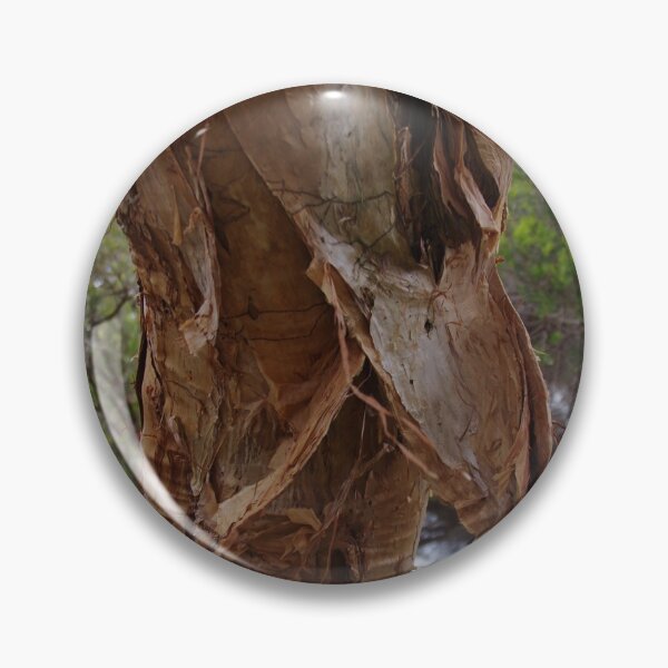 Item preview, Melaleuca cuticularis (Saltwater Paperbark Tree) designed and sold by lezvee.
