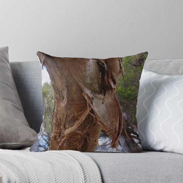 Item preview, Melaleuca cuticularis (Saltwater Paperbark Tree) designed and sold by lezvee.