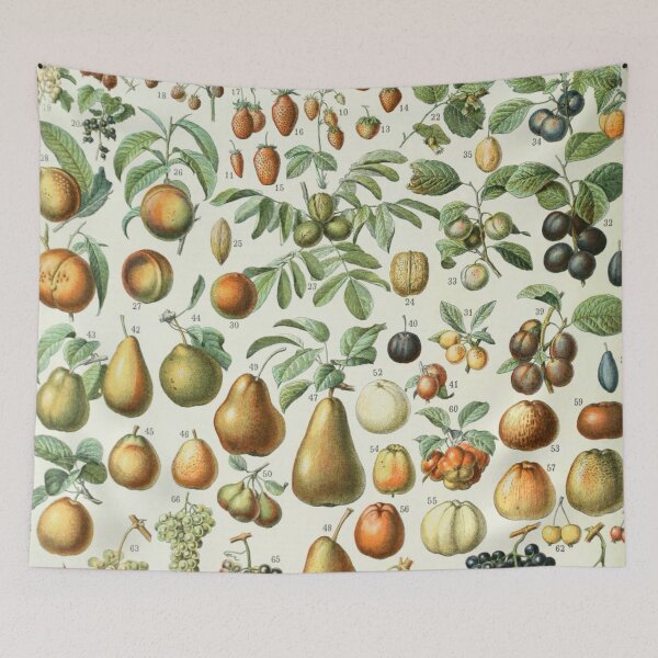 Item preview, Adolphe Millot Vintage Fruit designed and sold by koovoxdogs.