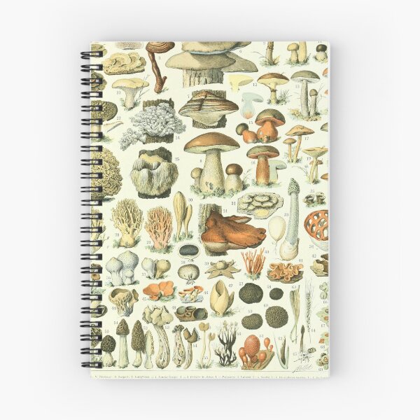 Item preview, Adolphe Millot Vintage Mushroom designed and sold by koovoxdogs.