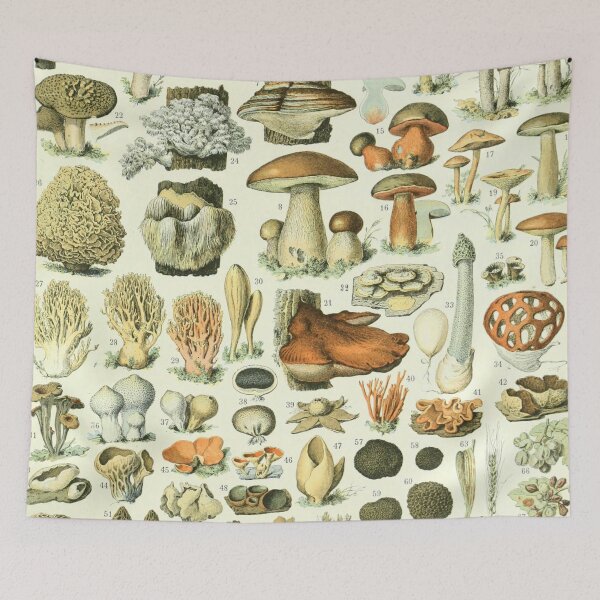 Item preview, Adolphe Millot Vintage Mushroom designed and sold by koovoxdogs.