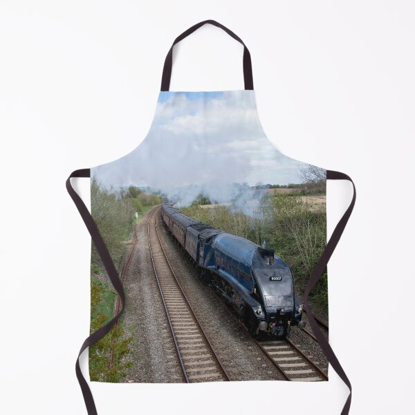 Item preview, Sir Nigel Gresley at Willand designed and sold by hawkie.