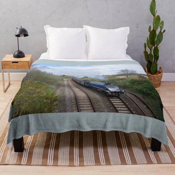 Item preview, Sir Nigel Gresley at Willand designed and sold by hawkie.