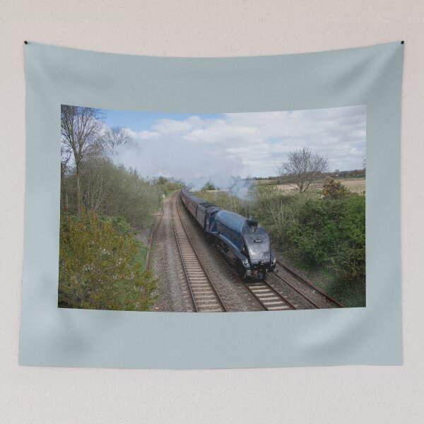 Item preview, Sir Nigel Gresley at Willand designed and sold by hawkie.