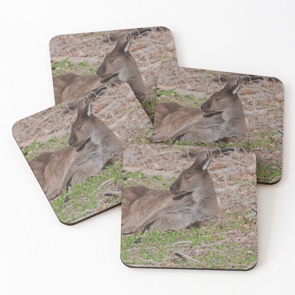 Item preview, Australian kangaroo lying down designed and sold by hendrikspix.
