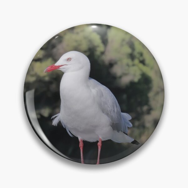 Item preview, Seagull on a lake jetty in the summer sun. designed and sold by hendrikspix.
