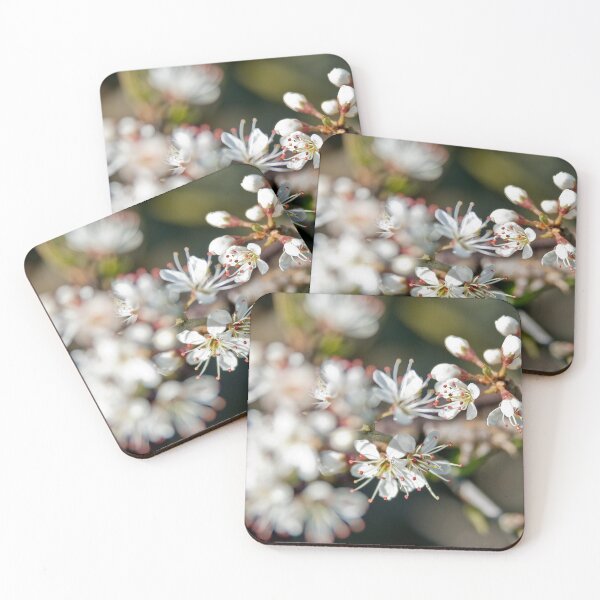 Item preview, Signs of Spring designed and sold by Sue Knowles.