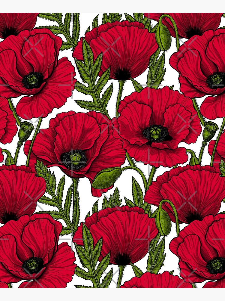 Red poppy garden 2 by katerinamk