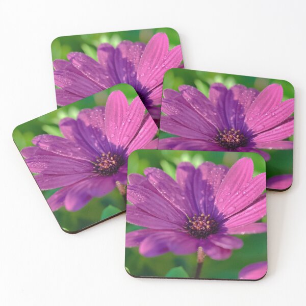 Item preview, Beautiful pink daisy flower on a sunny day designed and sold by hendrikspix.
