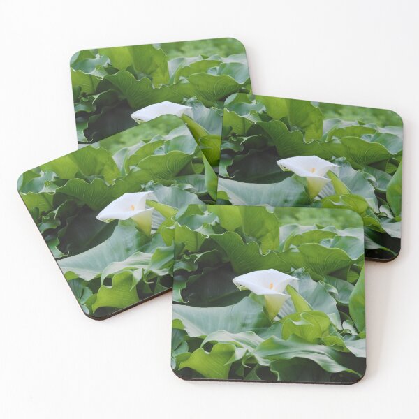 Item preview, Beautiful Calla lily flower  designed and sold by hendrikspix.