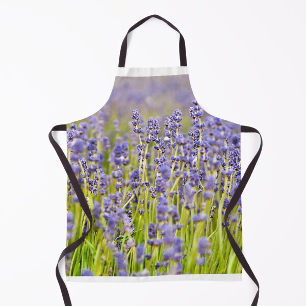 Aperçu de l'œuvre Lavender Closeup créée et vendue par Sue Knowles.