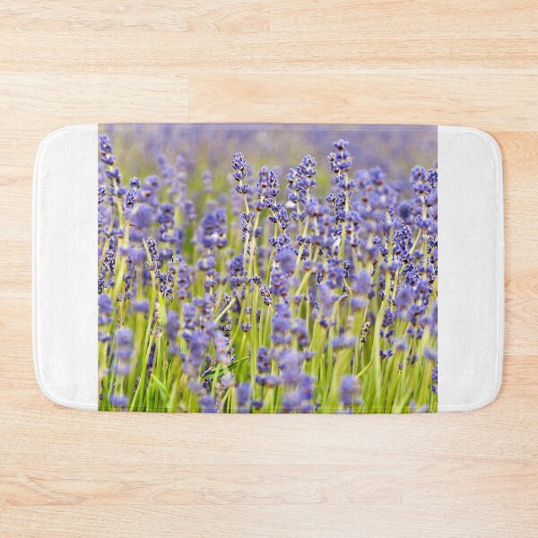 Artikelvorschau, Lavender Closeup entworfen und verkauft von Sue Knowles.