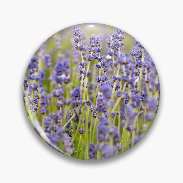 Artikelvorschau, Lavender Closeup entworfen und verkauft von Sue Knowles.