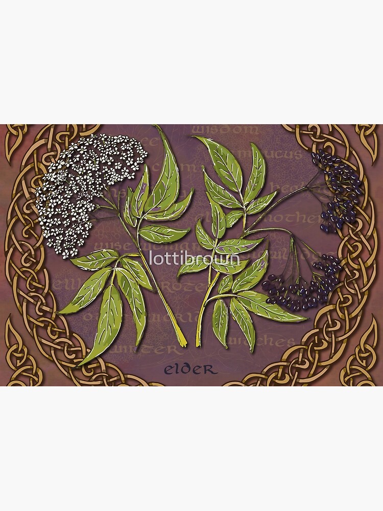 Celtic Elder by lottibrown