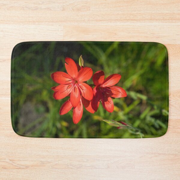 Item preview, Three Crimson River Lily Blooms - Exquisite South African Beauties in a Garden designed and sold by Georgia Mizuleva.