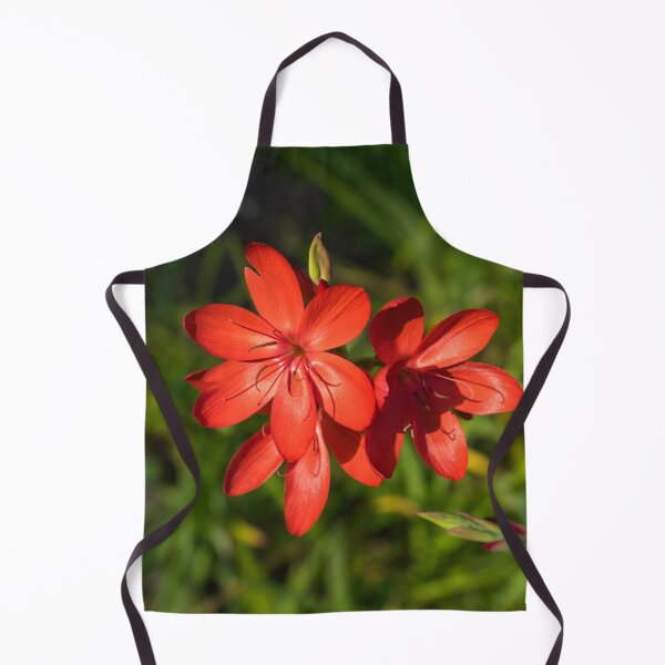 Item preview, Three Crimson River Lily Blooms - Exquisite South African Beauties in a Garden designed and sold by Georgia Mizuleva.
