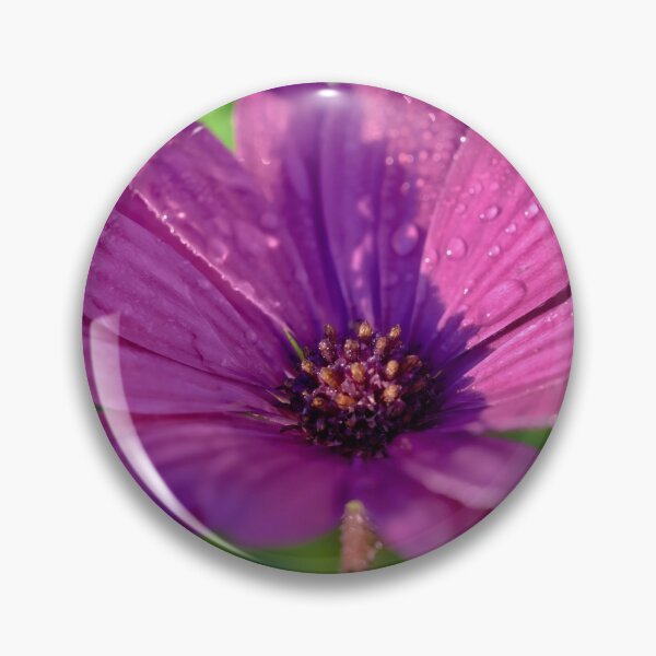 Item preview, Beautiful pink daisy flower on a sunny day designed and sold by hendrikspix.