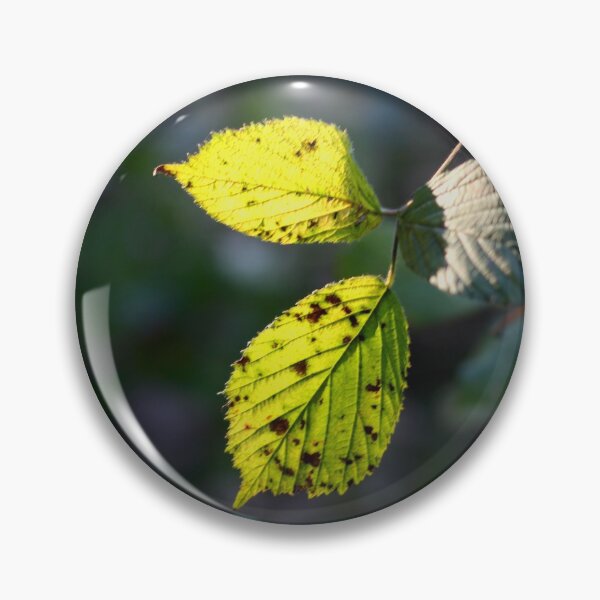 Item preview, Leaves in the light  designed and sold by chihuahuashower.