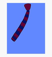 Hipster Knitted Tie Photographic Print