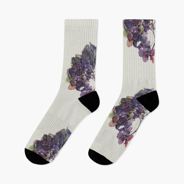 Item preview, Vintage Pressed dried hydrangea flower designed and sold by Nyanko-Sempai.