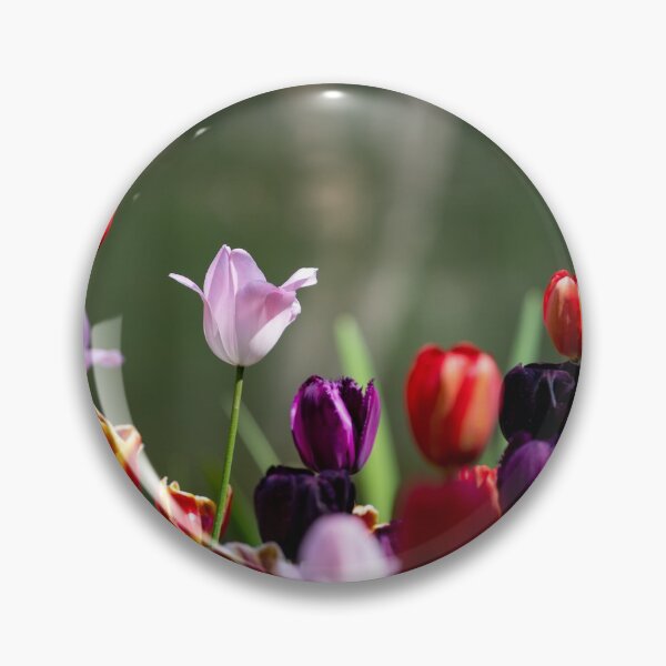Item preview, Terrific Tulips designed and sold by ValkyriePhotos.