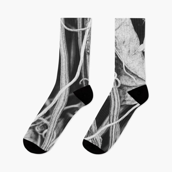 Item preview, Black and White Vine Detail designed and sold by Gerhanj.