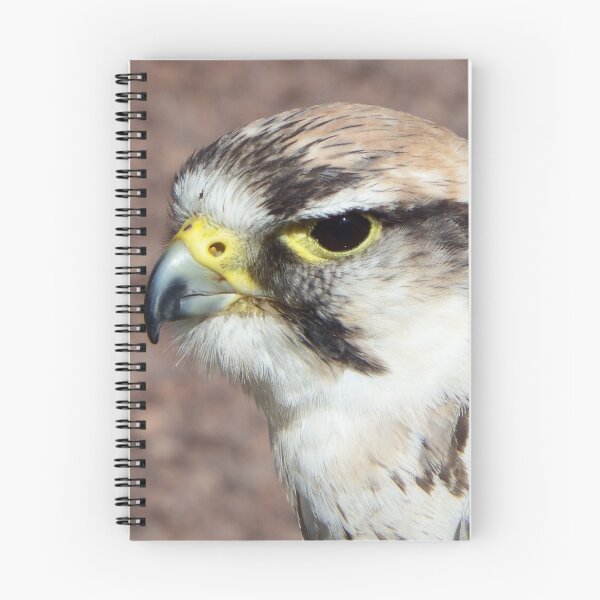 Item preview, Peregrine  designed and sold by weecritter.