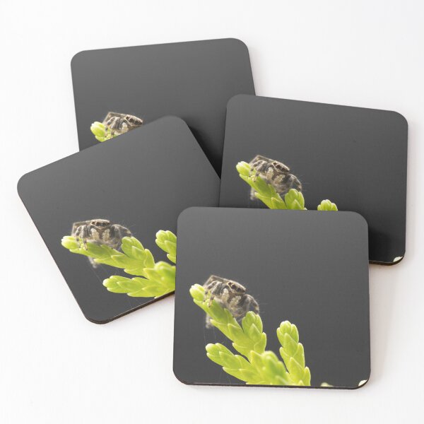 Item preview, Black macro jumping spider on green vegetation designed and sold by hendrikspix.