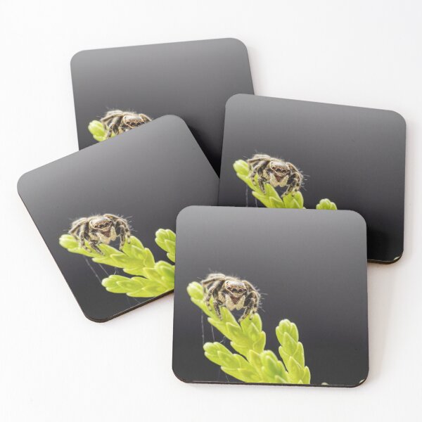 Item preview, Black macro jumping spider on green vegetation designed and sold by hendrikspix.
