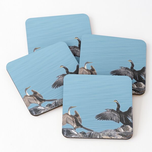 Item preview, Australian darters basking in the sun  designed and sold by hendrikspix.