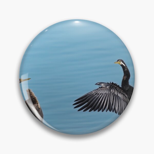 Item preview, Australian darters basking in the sun  designed and sold by hendrikspix.