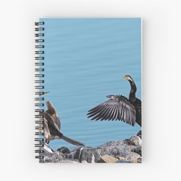 Item preview, Australian darters basking in the sun  designed and sold by hendrikspix.