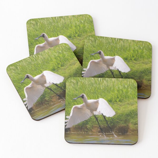 Item preview, Royal Spoonbill in flight designed and sold by Carole Pallier.