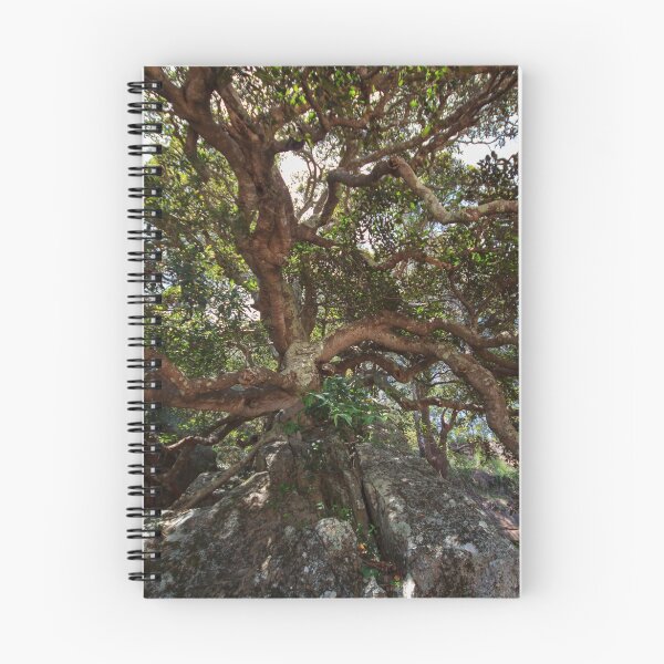 Item preview, Hungry Beach Pittwater NSW Australia designed and sold by Doug Cliff.
