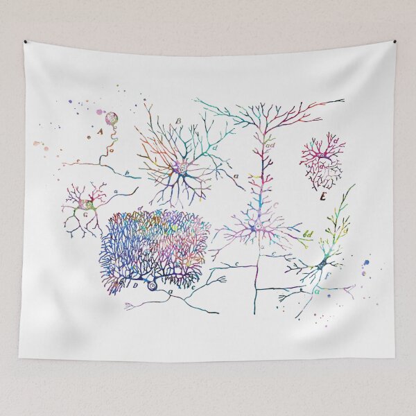 Item preview, Human Nerve Cell Types Anatomy designed and sold by EvasDreams.