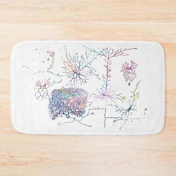 Item preview, Human Nerve Cell Types Anatomy designed and sold by EvasDreams.