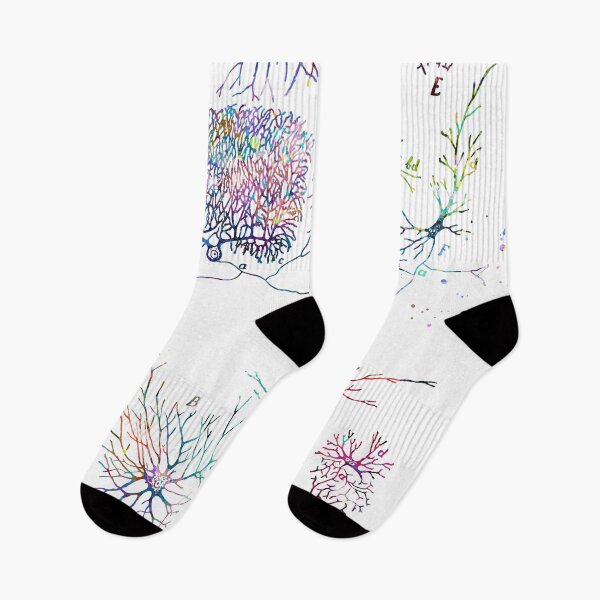 Item preview, Human Nerve Cell Types Anatomy designed and sold by EvasDreams.