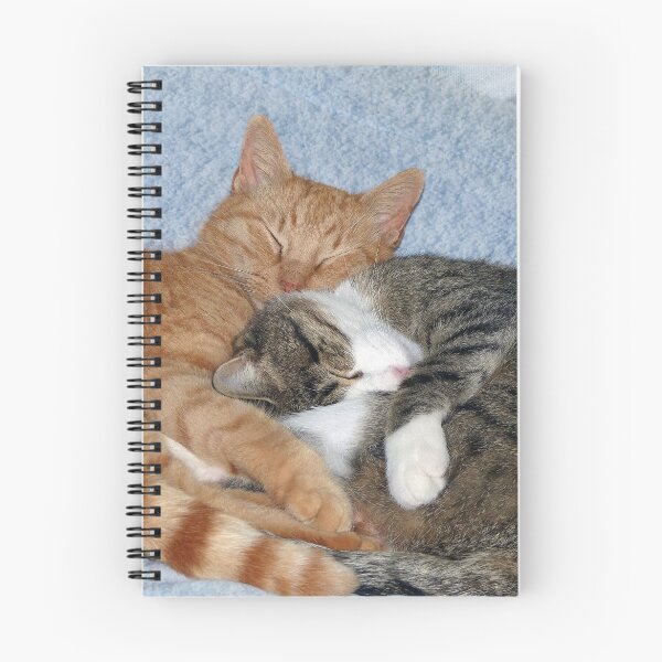 Item preview, Sleeping Sweeties designed and sold by Frankie Cat Photography.