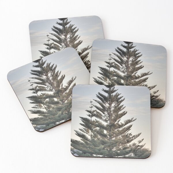 Item preview, Norfolk Island Pine trees in sunset designed and sold by hendrikspix.